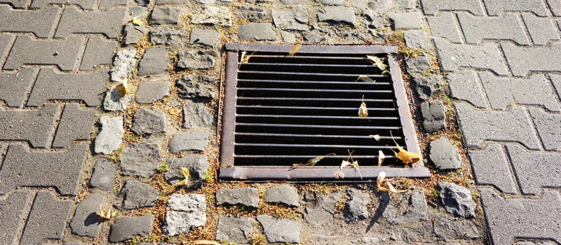 Catch Basin Installation and Maintenance in Davenport, Toronto